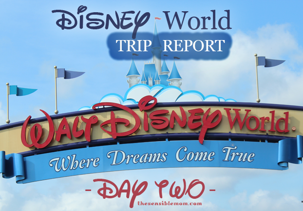 trip to disney world for two