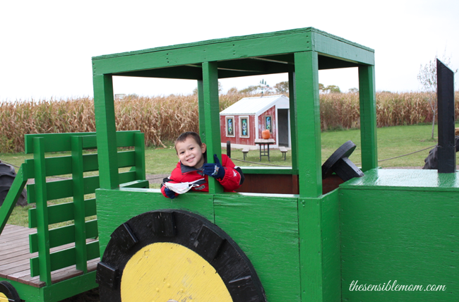 Pumpkin Patch Picking Chicago