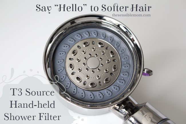 Source Hand-Held Shower Filter