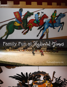 medieval times chicago website